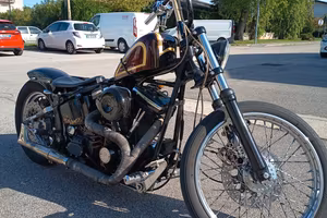 Harley Davidson softail custom 1340 