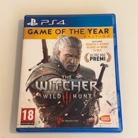 The Witcher Wild Hunt