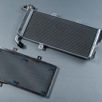 Radiatore Tip Racing con Griglia D3 ER6 N F 09 16