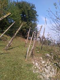 Pali in cemento per giardino h. 3m