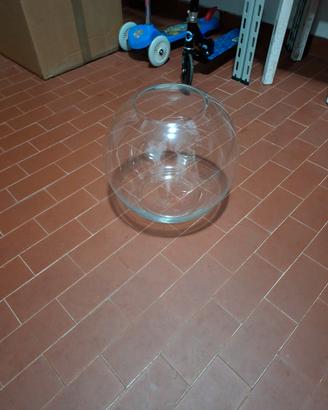 Ampolla Boccia in vetro 26cm