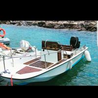 Barca Boston Whaler Montauk 17 + carrello