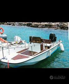 Barca Boston Whaler Montauk 17 + carrello