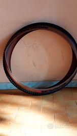 SCHWALBE RACING RAY 2.35 29" 