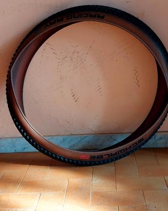 SCHWALBE RACING RAY 2.35 29" 