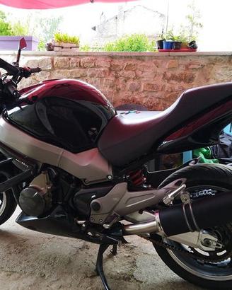 Special Titanium Black Honda CBR 1100 XX X Eleven