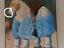 Immagine 3