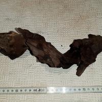 Radici legni acquario