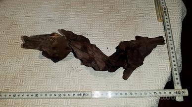 Radici legni acquario