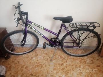 Bicicletta Mountain bike 26" con portapacchi