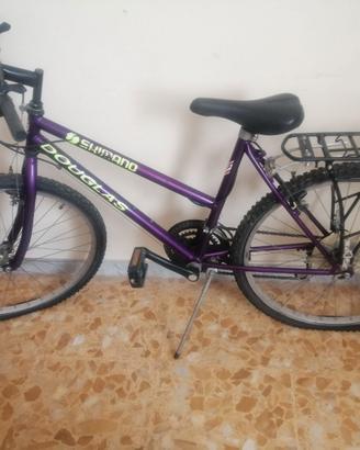 Bicicletta Mountain bike 26" con portapacchi