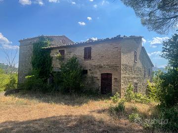 Azienda agricola di 60,5 Ha con casale e fienile