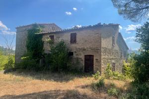 Azienda agricola di 60,5 Ha con casale e fienile