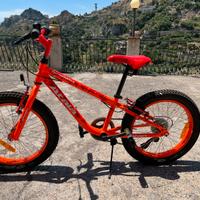 Bicicletta atala
