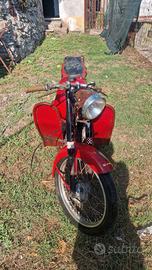 moto antiquariato 