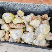 Pietre da decorazione per bordure