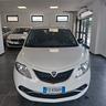 lancia-ypsilon-anno-2016-bz-gpl-adatta-neopatentat