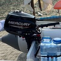 Motore MERCURY F 3.5 HP 4 tempi - gambo corto