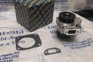 Pompa acqua 493169 per piaggio porter