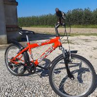 bicicletta bambino