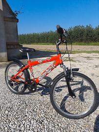 bicicletta bambino