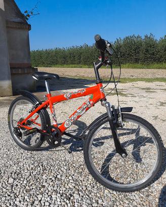 bicicletta bambino