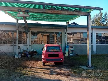 Carro ponte portata 1000 kg