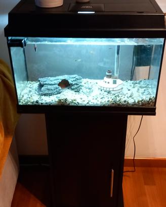 Acquario più mobiletto 