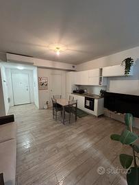 Ampio Monolocale 52mq