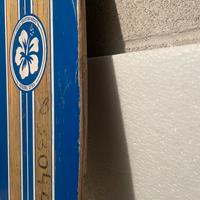 Skate Long Longboard Oxelo