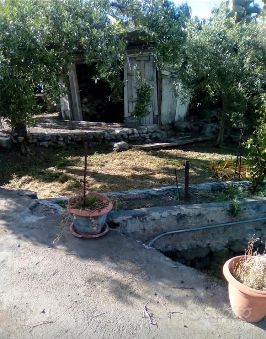 Terreno agricolo - Vista 3
