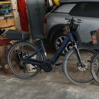 bicicletta elettrica assistita