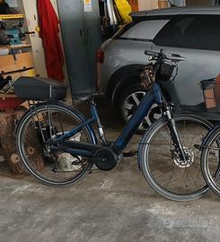 bicicletta elettrica assistita