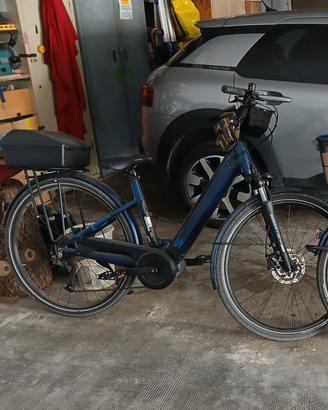bicicletta elettrica assistita
