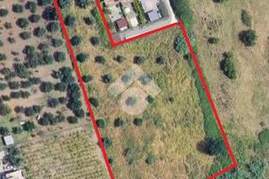 TER. AGRICOLO A SANT'ANGELO ROMANO