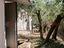 Immagine 25