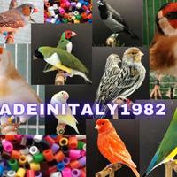 Segnacoppia 2,8 mm anelli anellini