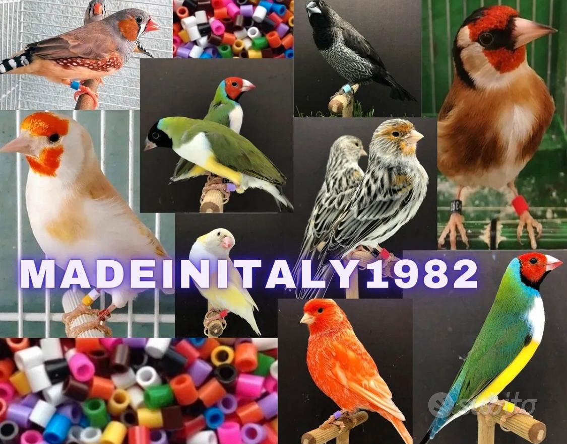 200 Anelli Per Cosce Di Pollo - Fascie Colorate Numerate Per Galline, Anatre E Uccelli - Foto 9