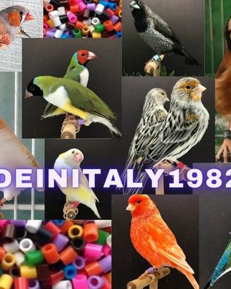 Segnacoppia 2,8 mm anelli anellini