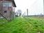 Immagine 14