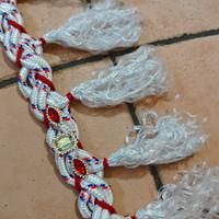 pettorale per cavallo