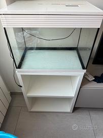 Acquario