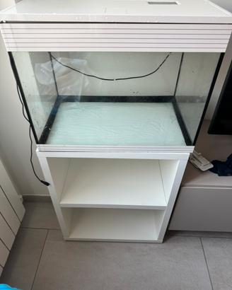 Acquario