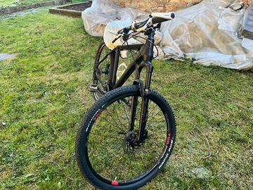 MTB Lombardo 29" - Cambio Professionale Shimano