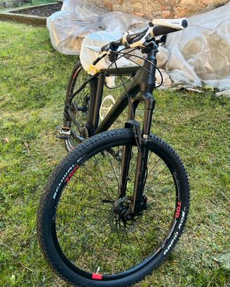 MTB Lombardo 29" - Cambio Professionale Shimano