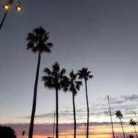 Impiegata commerciale part-time mattino