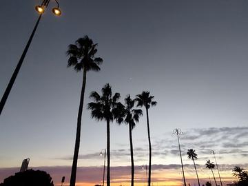 Impiegata commerciale part-time mattino