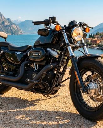 Harley-davidson Sportster Forty-Eight XL1200X - Un
