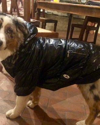 Piumino Camon per cani 55cm