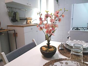 Casa vacanza vicino Metro Basilica San Paolo